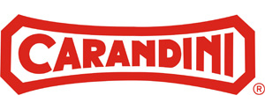 logo C&G Carandini SA