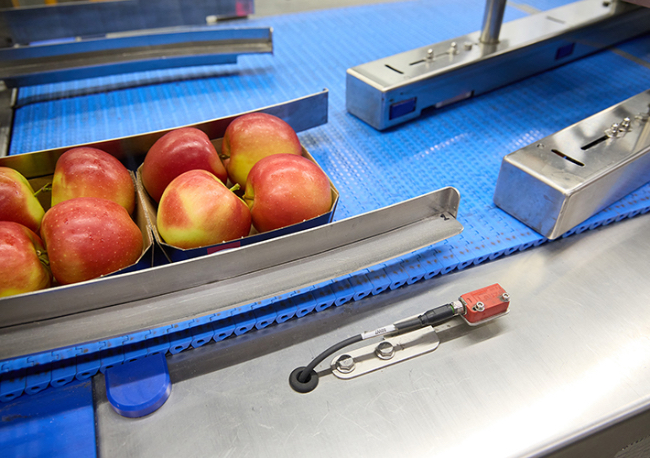 Foto Informe de aplicación. Cuando las manzanas se van a nadar.