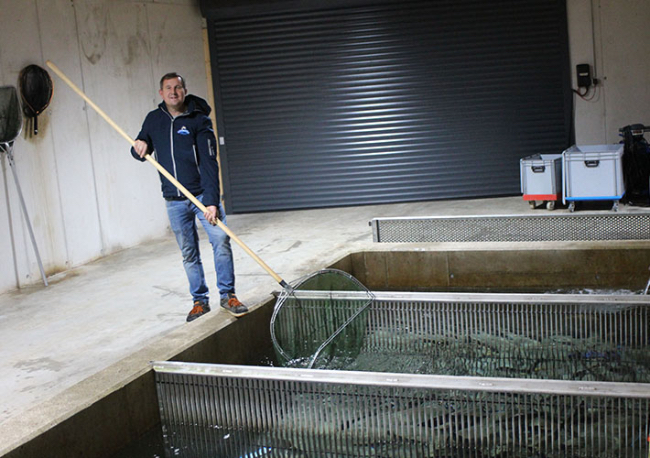Foto Cómo Fischzucht Moser logró un suministro independiente de oxígeno.
Solución combinada de BOGE e INMATEC para piscifactorías.