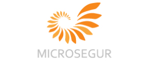 logo Microsegur