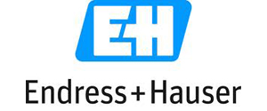 logo Endress+Hauser SA