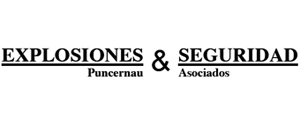 logo Puncernau & Asociados SL