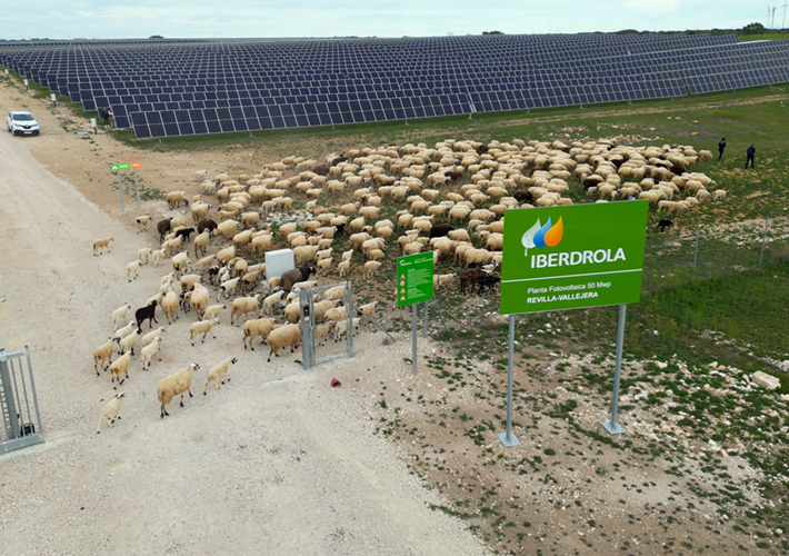 Foto Iberdrola recibe el Sello de Excelencia en Sostenibilidad UNEF por la fotovoltaica de Revilla-Vallejera.