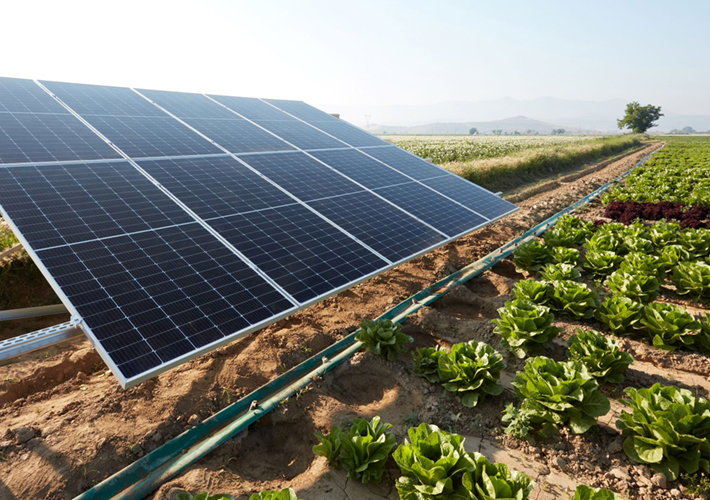 Foto ABB lanza a nivel mundial un innovador convertidor solar para el bombeo sostenible de agua.