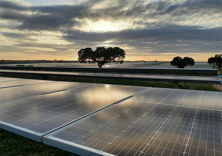 foto Iberdrola y FCC firman un acuerdo para el reciclaje industrial de paneles fotovoltaicos.