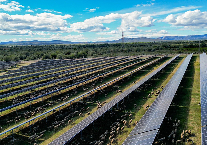 foto Prosolia Energy incorpora 229 MW operativos en España para consolidarse como IPP de referencia.
