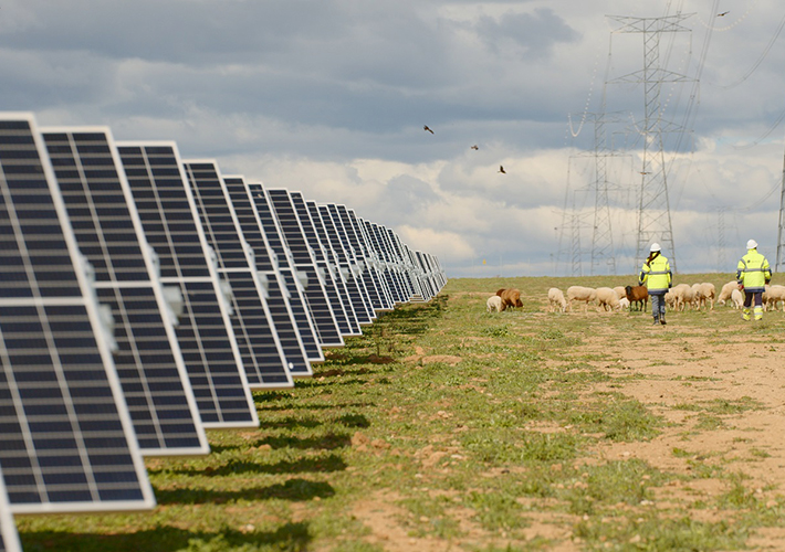 Foto La guerra en Ucrania impulsa la transición energética, pero retrasa la neutralidad en carbono.