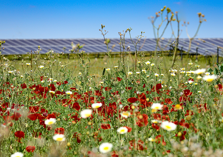 Foto BayWa r.e. firma el mayor VPPA solar corporativo europeo para la industria del packaging con Huhtamaki.