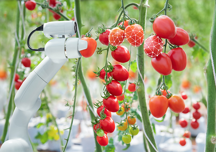 Foto El futuro inteligente de la agricultura