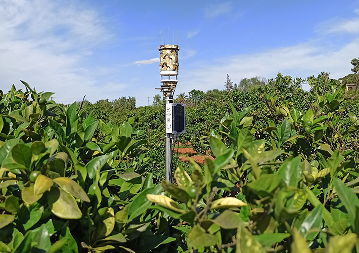 foto El proyecto ‘KODA-IPEC’ liderado por Magtel ayudará a los agricultores españoles de cultivos leñosos a la gestión inteligente del riego y a la fertirrigación.