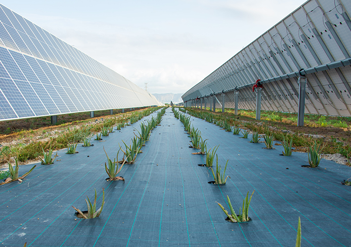 Foto LA ENERGÍA SOLAR SUPERA POR PRIMERA VEZ EL TERAVATIO HORA DE PRODUCCIÓN EN ESPAÑA.