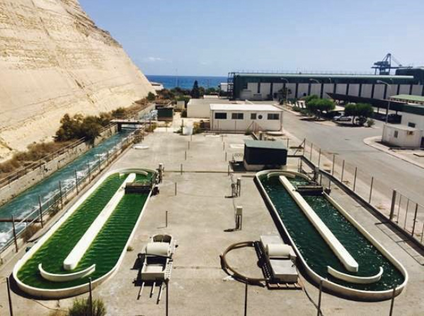 Foto ENDESA Y ALGAVILLAGE ACUERDAN LA CONTINUIDAD DE LA PLANTA DE MICROALGAS DE LITORAL PARA LOS PRÓXIMOS 10 AÑOS.