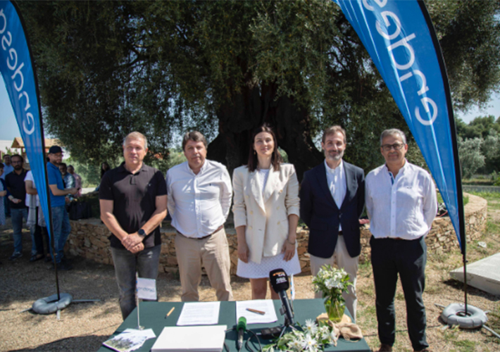 foto De Teruel a Portugal, Endesa y Apadrinaunolivo firman un convenio para la recuperación de 10.000 olivos en la zona de Abrantes.