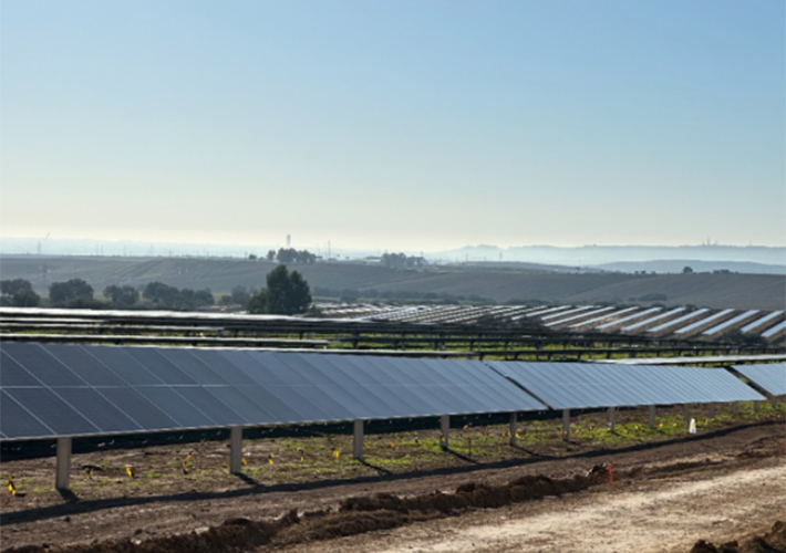 foto Endesa finaliza la construcción de Esparragal, una nueva planta solar en la provincia de Sevilla.