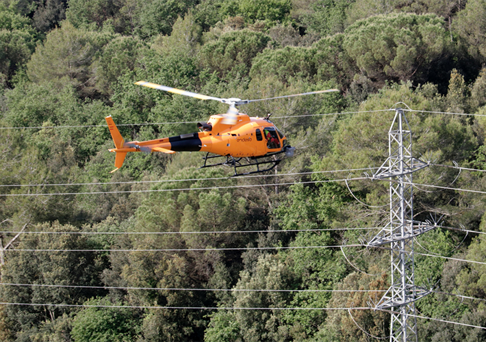 Foto ENDESA CREA UNA APLICACIÓN PARA REPORTAR INCIDENCIAS BAJO LAS LÍNEAS ELÉCTRICAS Y PROTEGER LOS BOSQUES.