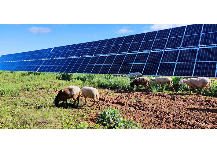 foto Dos plantas solares de Endesa reciben el Sello de Excelencia para la Sostenibilidad 2022 de UNEF.
