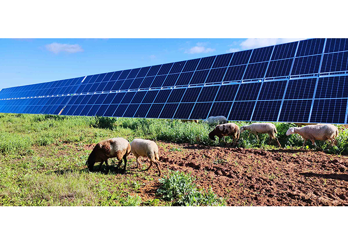 Foto Dos plantas solares de Endesa reciben el Sello de Excelencia para la Sostenibilidad 2022 de UNEF.