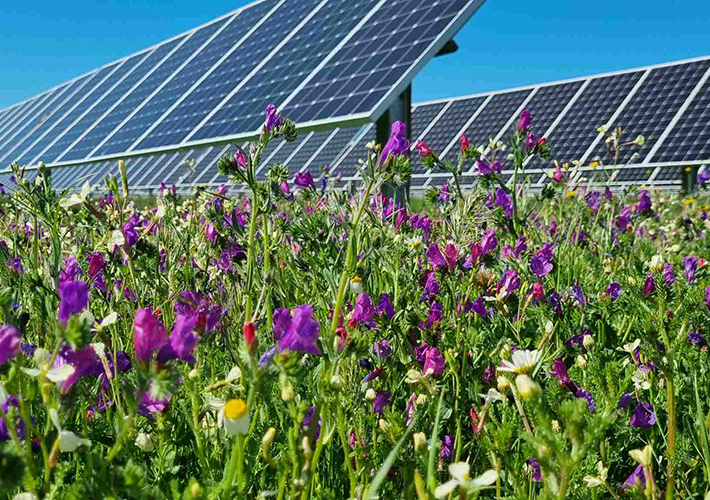 foto Endesa eleva la ambición de su Plan de Sostenibilidad: 130 medidas para liderar la transición energética