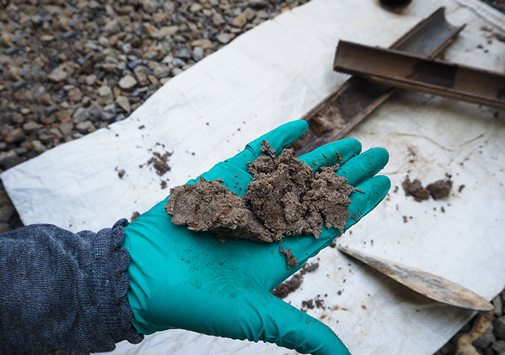 Foto Estudian una tecnología para eliminar hidrocarburos del petróleo en suelos contaminados.