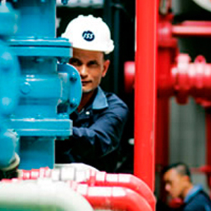 foto Servicios técnicos y de mantenimiento integral ISS
