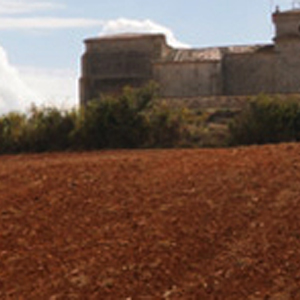 Foto Sociedad para el Desarrollo de la Provincia de Burgos